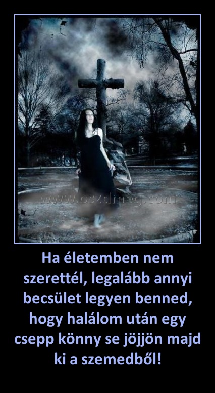 Ha életemben nem szerettél, legalább annyi becsület legyen benned, hogy halálom után egy csepp könny se jöjjön majd ki a szemedből!
 
