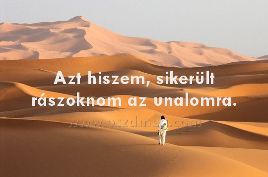 Azt hiszem Azt hiszem
Azt hiszem, sikerült rászoknom az unalomra.