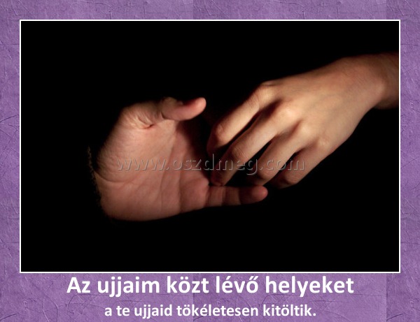 Az ujjaim közt lévő helyeket
 
a te ujjaid tökéletesen kitöltik.