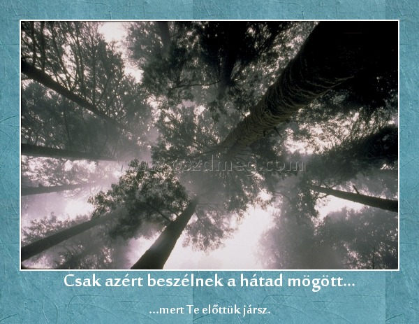 Csak azért beszélnek a hátad mögött...
 
...mert Te előttük jársz.