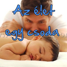 Az élet egy csoda 
 
Az élet egy csoda 