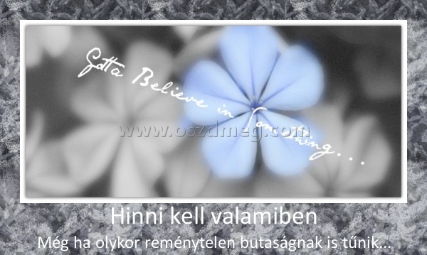 Hinni kell valamiben
 
Még ha olykor reménytelen butaságnak is tűnik...