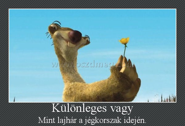 Különleges vagy
 
Mint lajhár a jégkorszak idején.