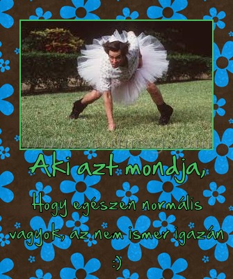 Aki azt mondja, Aki azt mondja,
Hogy egészen normális vagyok, az nem ismer igazán :)