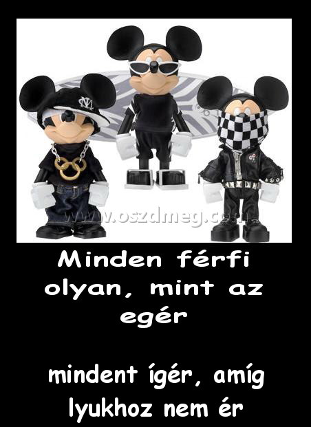 Mindent ígér
 
mindent ígér, amíg lyukhoz nem ér