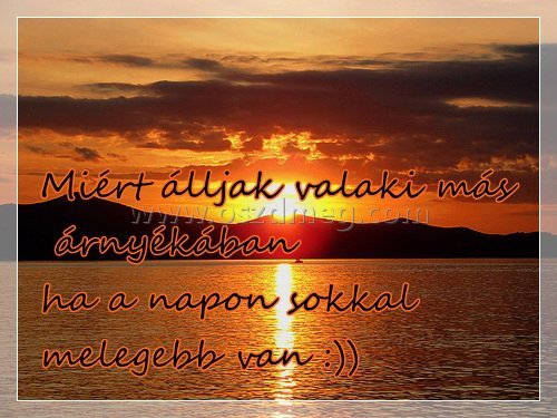 Miért álljak valaki más árnyékában?
 
