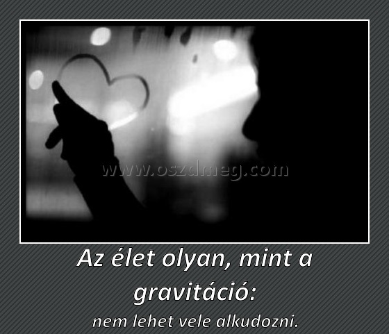 Az élet olyan, mint a gravitáció: Az élet olyan, mint a gravitáció:
nem lehet vele alkudozni.