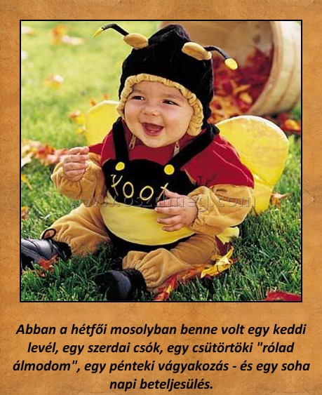 Abban a hétfői mosolyban
 
Abban a hétfői mosolyban benne volt egy keddi levél, egy szerdai csók, egy csütörtöki 