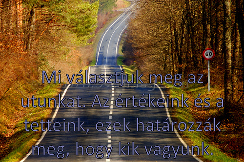 Mi választjuk meg az utunkat
 
Mi választjuk meg az utunkat. Az értékeink és a tetteink, ezek határozzák meg, hogy kik vagyunk.