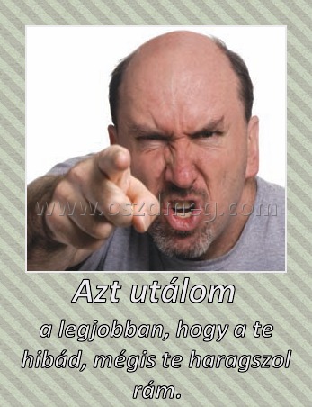 Azt utálom a legjobban...
 
a legjobban, hogy a te hibád, mégis te haragszol rám.