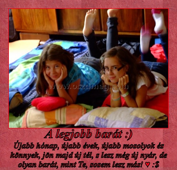 A legjobb barát :)
 
Újabb hónap, újabb évek, újabb mosolyok és könnyek, jön majd új tél, s lesz még új nyár, de olyan barát, mint Te, sosem lesz más! ♥ :$