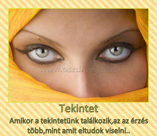 Tekintet Tekintet
Amikor a tekintetünk találkozik,az az érzés több,mint amit eltudok viselni..