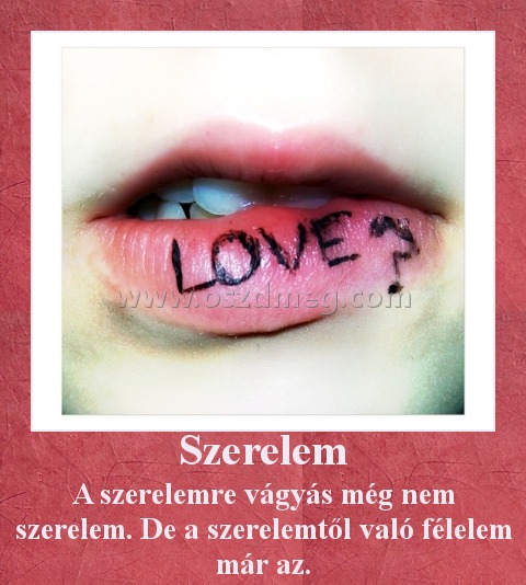 Szerelem
 
A szerelemre vágyás még nem szerelem. De a szerelemtől való félelem már az.
