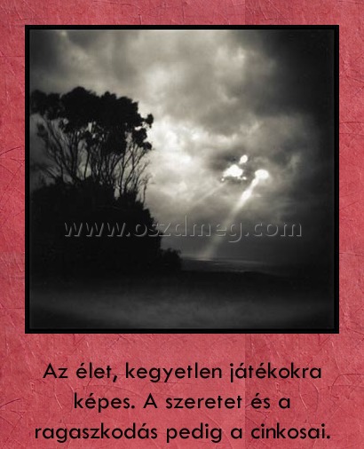 Az élet kegyetlen játékokra képes
 
Az élet, kegyetlen játékokra képes. A szeretet és a ragaszkodás pedig a cinkosai.