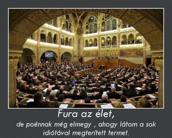 Fura az élet,
 
de poénnak még elmegy , ahogy látom a sok idiótával megterített termet.