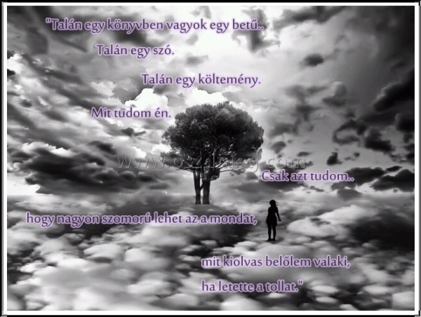 Talán egy könyvben vagyok egy betű
 
