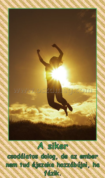 A siker A siker
csodálatos dolog, de az ember nem tud éjszaka hozzábújni, ha fázik.