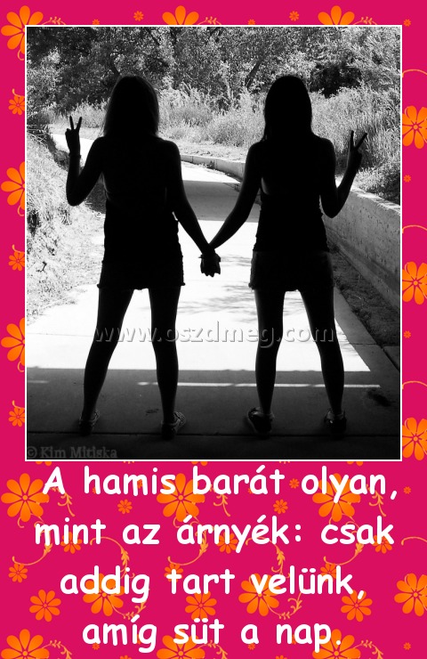  A hamis barát olyan, mint az árnyék: csak addig tart velünk, amíg süt a nap.
 
