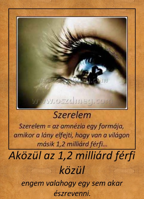 Aközül az 1,2 milliárd férfi közül
 
engem valahogy egy sem akar észrevenni.