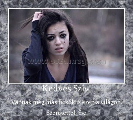 Kedves Szív!
 
Vannak még más fickók is ezen a világon. Szeretettel: Ész