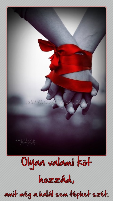 Olyan valami köt hozzád,
 
amit még a halál sem téphet szét.