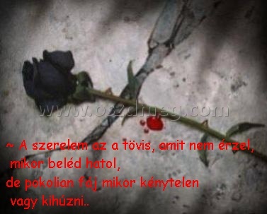 A szerelem A szerelem