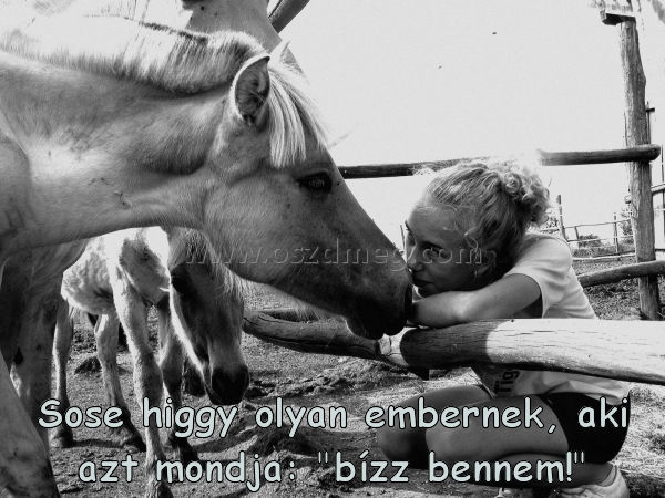 Sose higgy olyan embernek
 
Sose higgy olyan embernek, aki azt mondja: 