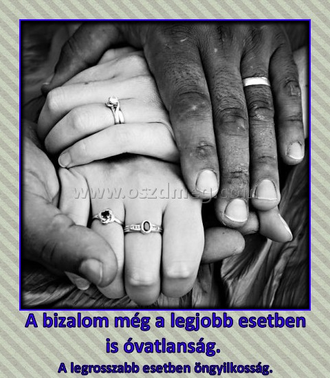 A bizalom még a legjobb esetben is óvatlanság. 
 
A legrosszabb esetben öngyilkosság.