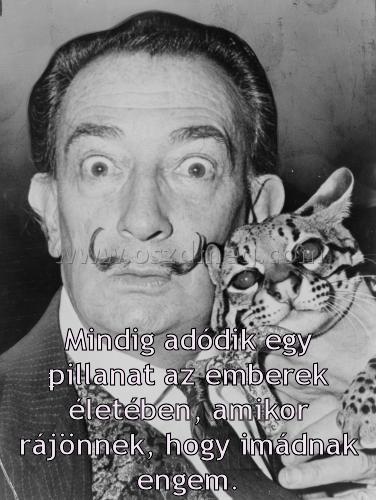 Mindig adódik egy pillanat
 
Mindig adódik egy pillanat az emberek életében, amikor rájönnek, hogy imádnak engem.