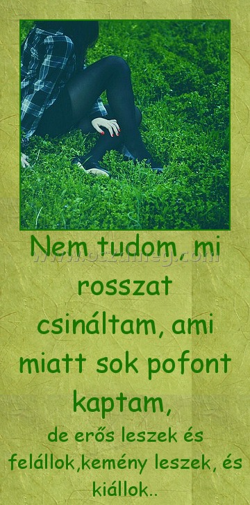 Nem tudom, mi rosszat csináltam
 
de erős leszek és felállok,kemény leszek, és kiállok..