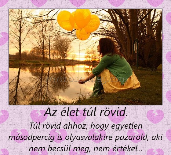 Az élet túl rövid.
 
Túl rövid ahhoz, hogy egyetlen másodpercig is olyasvalakire pazarold, aki nem becsül meg, nem értékel...