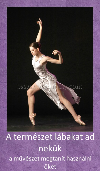 A természet lábakat ad nekük A természet lábakat ad nekük
a művészet megtanít használni őket