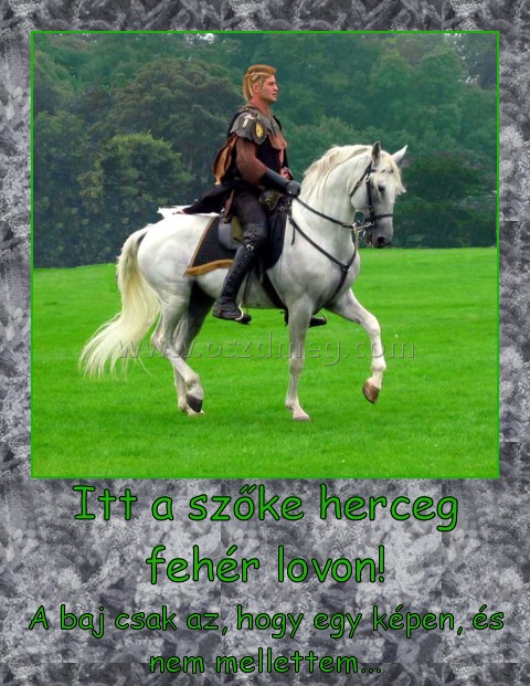 Itt a szőke herceg fehér lovon!
 
A baj csak az, hogy egy képen, és nem mellettem...