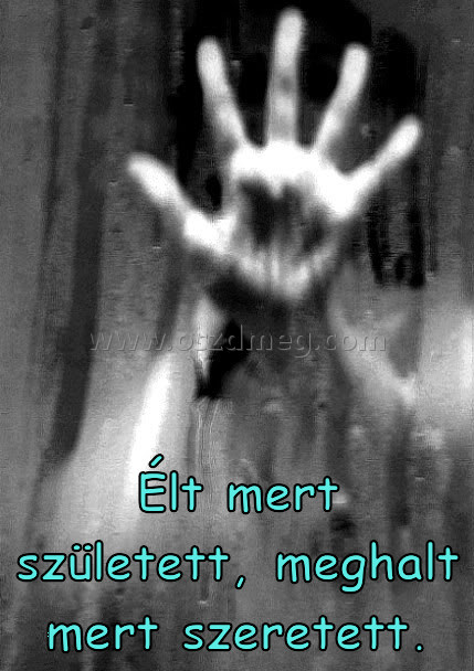 Élt mert született
 
Élt mert született, meghalt mert szeretett.