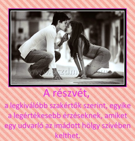 A részvét, 
 
a legkiválóbb szakértők szerint, egyike a legértékesebb érzéseknek, amiket egy udvarló az imádott hölgy szívében kelthet.