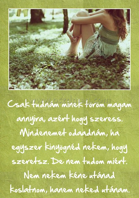 Csak tudnám minek töröm magam
 
Csak tudnám minek töröm magam annyira, azért hogy szeress. Mindenemet odaadnám, ha egyszer kinyögnéd nekem, hogy szeretsz. De nem tudom miért. Nem nekem kéne utánad koslatnom, hanem neked utánam.