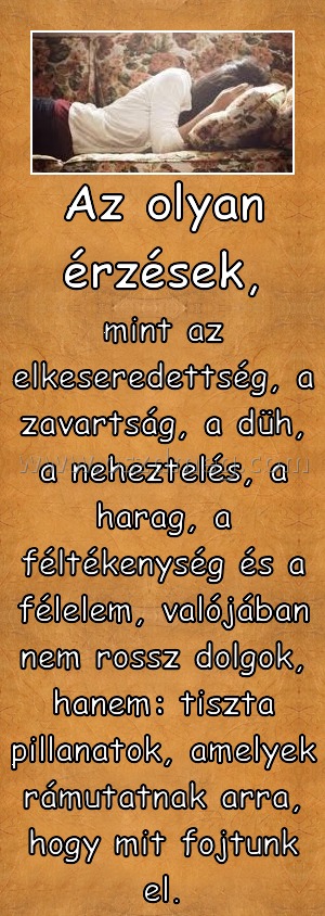 Az olyan érzések,
 
mint az elkeseredettség, a zavartság, a düh, a neheztelés, a harag, a féltékenység és a félelem, valójában nem rossz dolgok, hanem: tiszta pillanatok, amelyek rámutatnak arra, hogy mit fojtunk el.