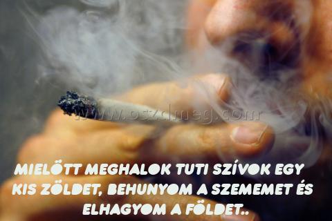 mielött meghalok tuti szívok
 
mielött meghalok tuti szívok egy kis zöldet, behunyom a szememet és elhagyom a földet..