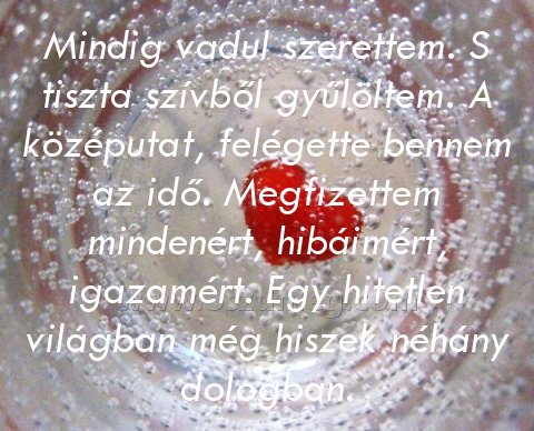 Mindig vadul szerettem. S
 
Mindig vadul szerettem. S tiszta szívből gyűlöltem. A középutat, felégette bennem az idő. Megfizettem mindenért, hibáimért, igazamért. Egy hitetlen világban még hiszek néhány dologban.