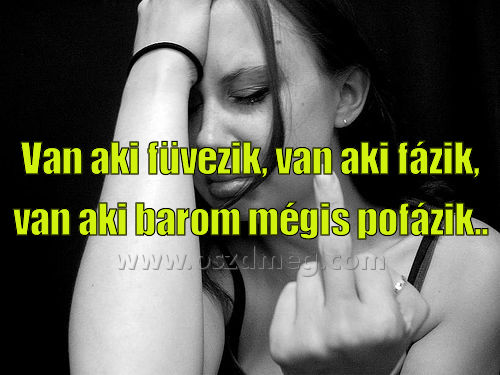 Van aki füvezik Van aki füvezik
Van aki füvezik, van aki fázik, van aki barom mégis pofázik..
