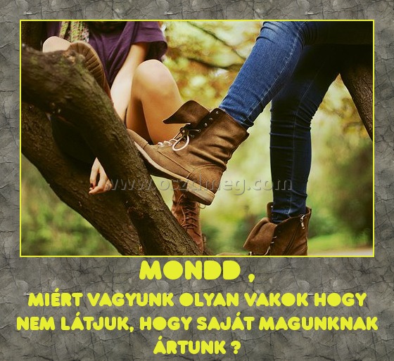 Mondd , Mondd ,
miért vagyunk olyan vakok Hogy nem látjuk, hogy saját magunknak ártunk ?