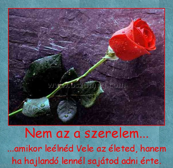 Nem az a szerelem...
 
...amikor leélnéd Vele az életed, hanem ha hajlandó lennél sajátod adni érte.