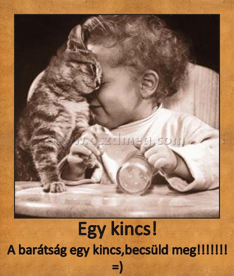 Egy kincs!
 
A barátság egy kincs,becsüld meg!!!!!!! =)
