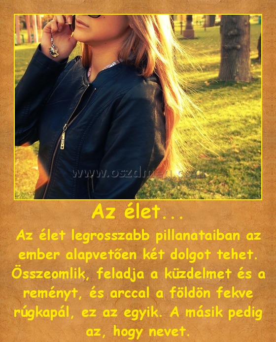 Az élet...
 
Az élet legrosszabb pillanataiban az ember alapvetően két dolgot tehet. Összeomlik, feladja a küzdelmet és a reményt, és arccal a földön fekve rúgkapál, ez az egyik. A másik pedig az, hogy nevet.