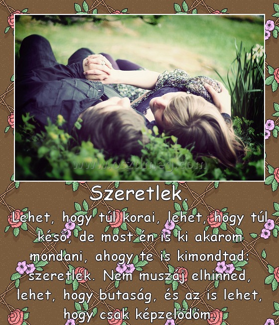 Szeretlek.
 
Lehet, hogy túl korai, lehet, hogy túl késő, de most én is ki akarom mondani, ahogy te is kimondtad: szeretlek. Nem muszáj elhinned, lehet, hogy butaság, és az is lehet, hogy csak képzelődöm.