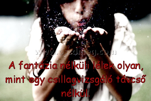 A fantázia nélküli lélek
 
A fantázia nélküli lélek olyan, mint egy csillagvizsgáló távcső nélkül.