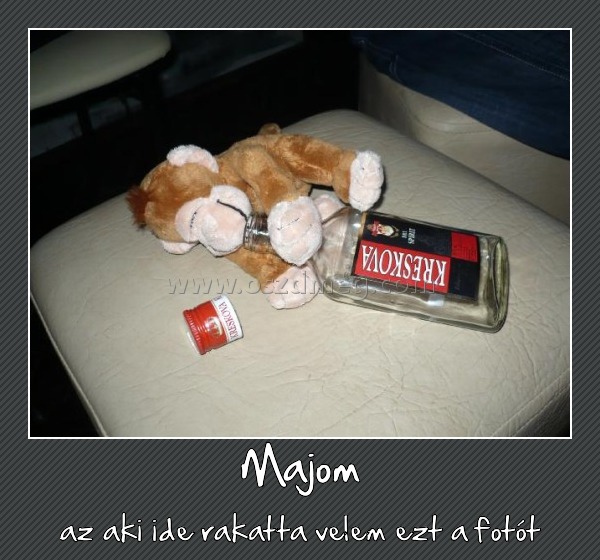 Majom
 
az aki ide rakatta velem ezt a fotót