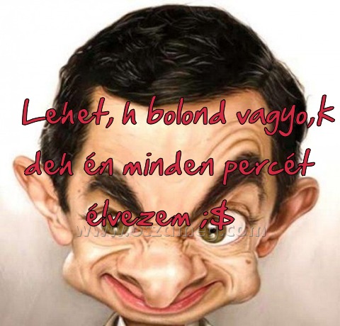Lehet Lehet
Lehet, h bolond vagyo,k deh én minden percét élvezem ;$