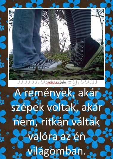 A remények, akár szépek voltak, akár nem, ritkán váltak valóra az én világomban.
 
