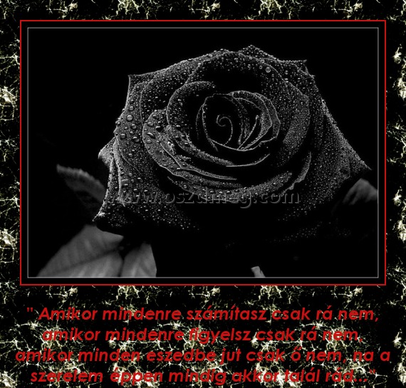 Amikor mindenre számítasz
 
